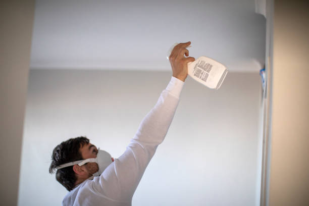 Best Certified Mold Removal  in Fort Davis, TX