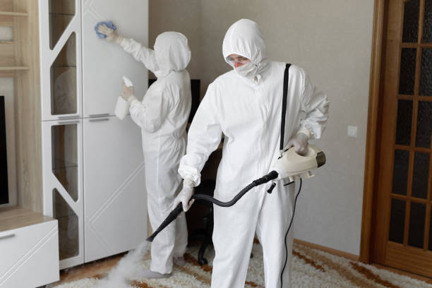 Best Attic Mold Removal  in Fort Davis, TX